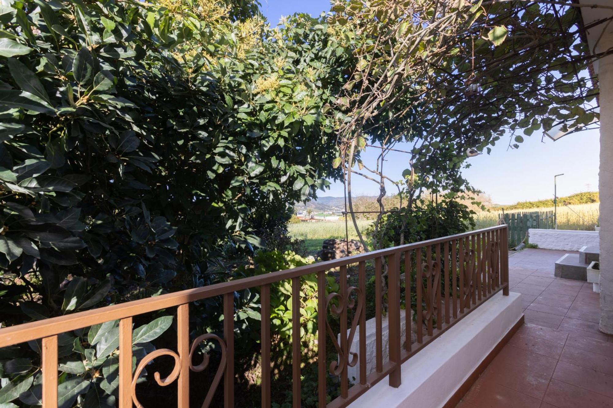 Lightbooking Casa De Campo Ortigal Tenerife La Esperanza  Dış mekan fotoğraf